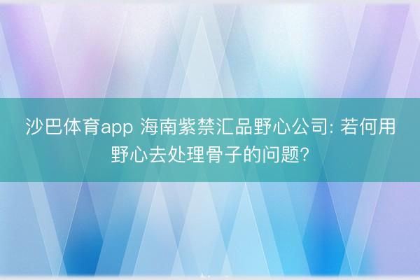 沙巴体育app 海南紫禁汇品野心公司: 若何用野心去处理骨子的问题?