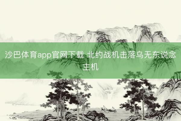 沙巴体育app官网下载 北约战机击落乌无东说念主机