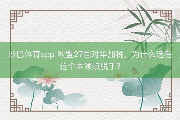 沙巴体育app 欧盟27国对华加税，为什么选在这个本领点脱手？