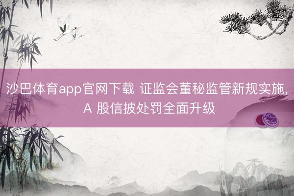 沙巴体育app官网下载 证监会董秘监管新规实施， A 股信披处罚全面升级