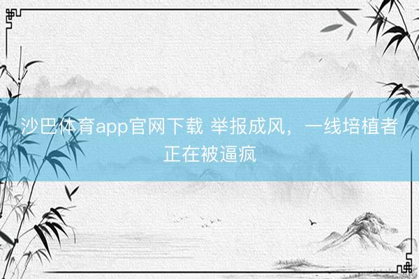 沙巴体育app官网下载 举报成风，一线培植者正在被逼疯