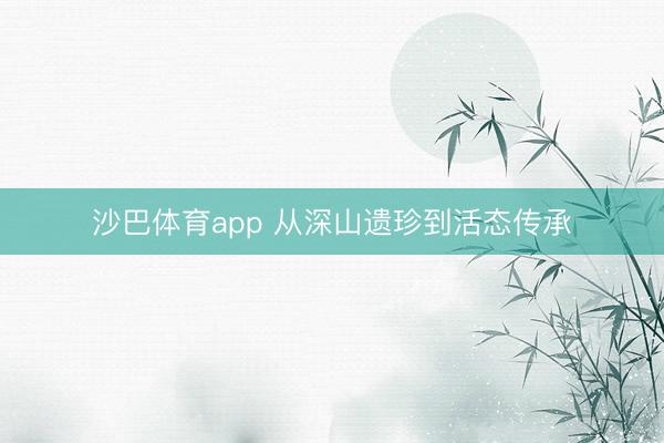 沙巴体育app 从深山遗珍到活态传承