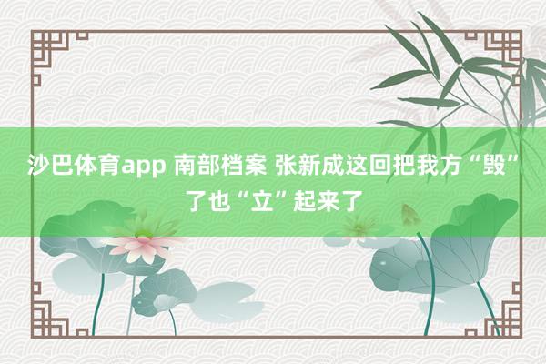 沙巴体育app 南部档案 张新成这回把我方“毁”了也“立”起来了